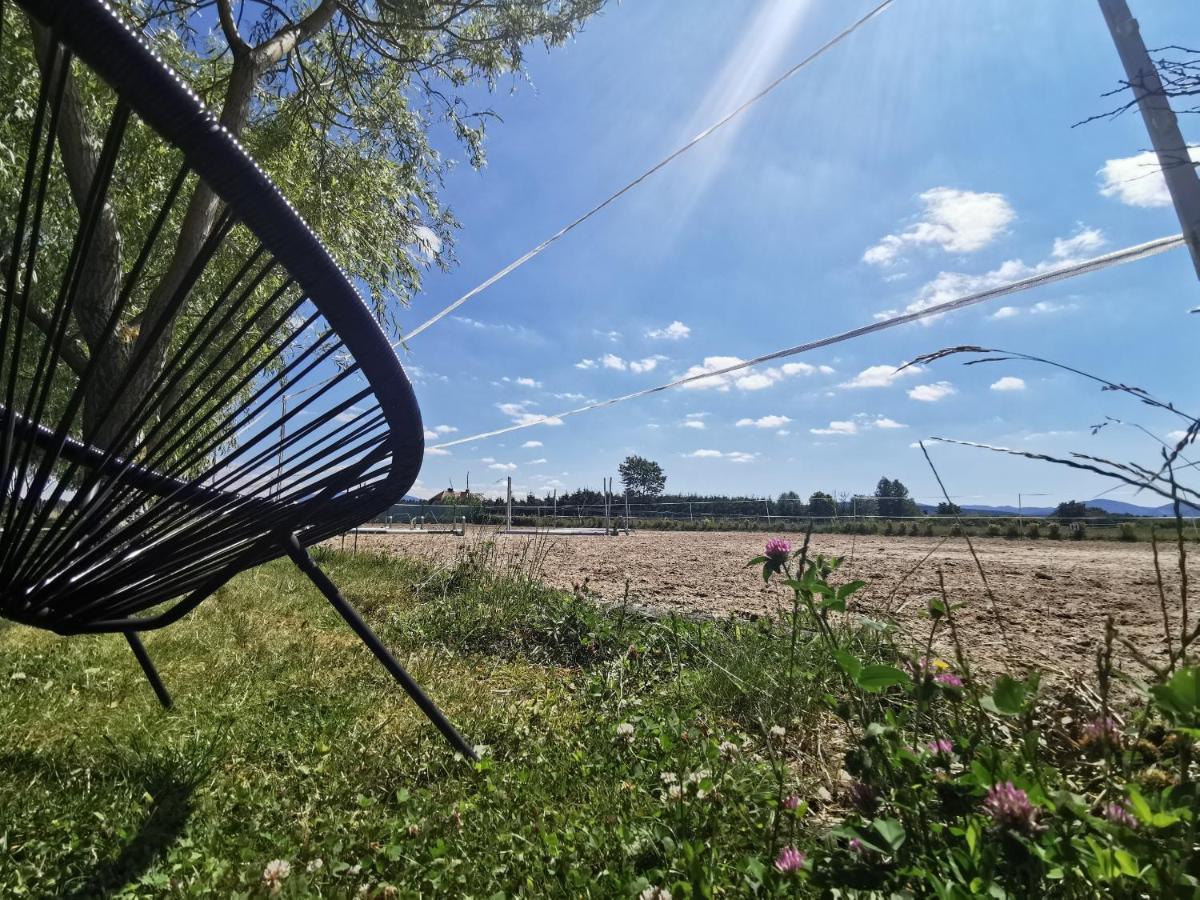 Podkowa Modliszow Villa Buitenkant foto