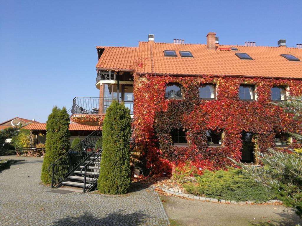 Podkowa Modliszow Villa Buitenkant foto